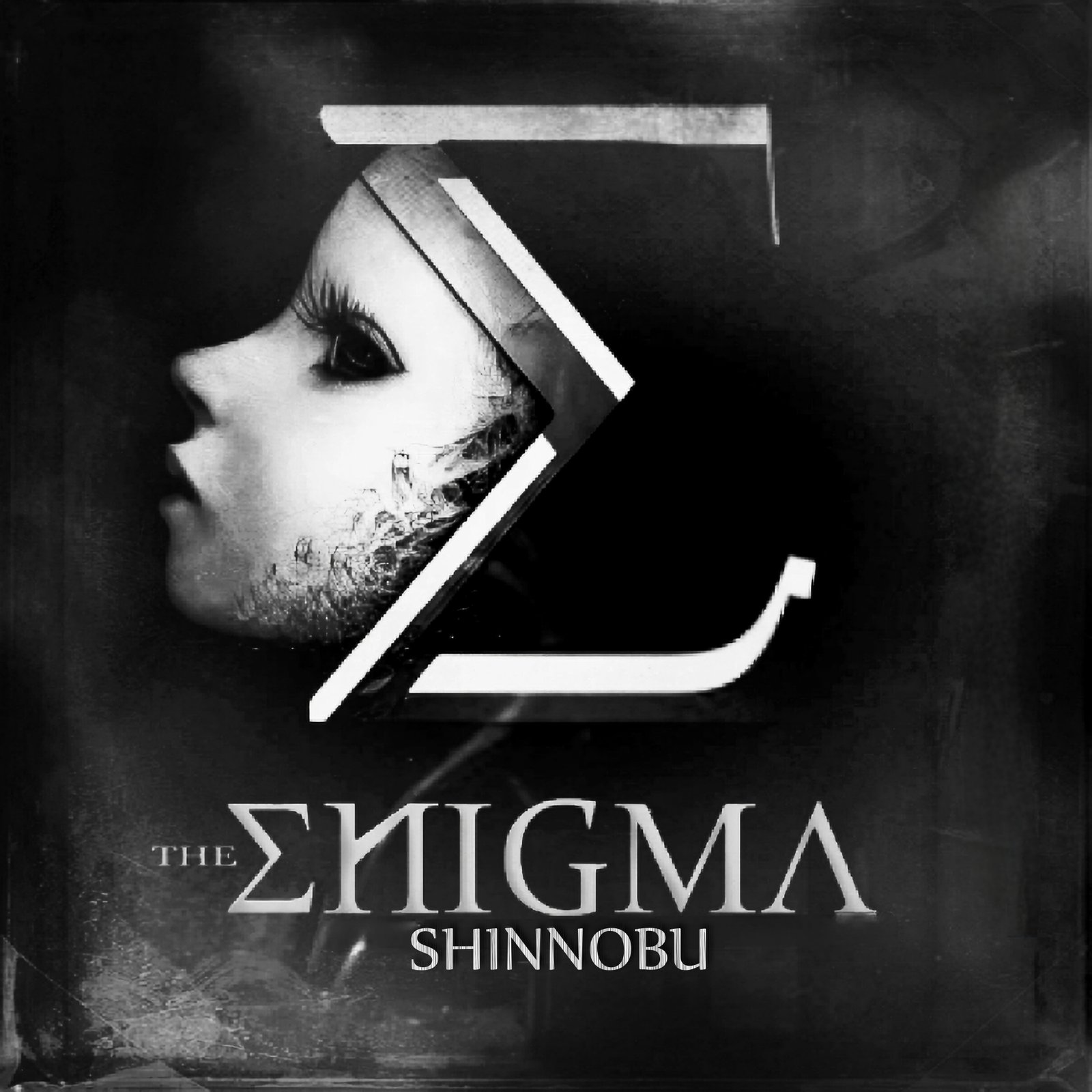 THE ENIGMA I (WE ARE ONE)